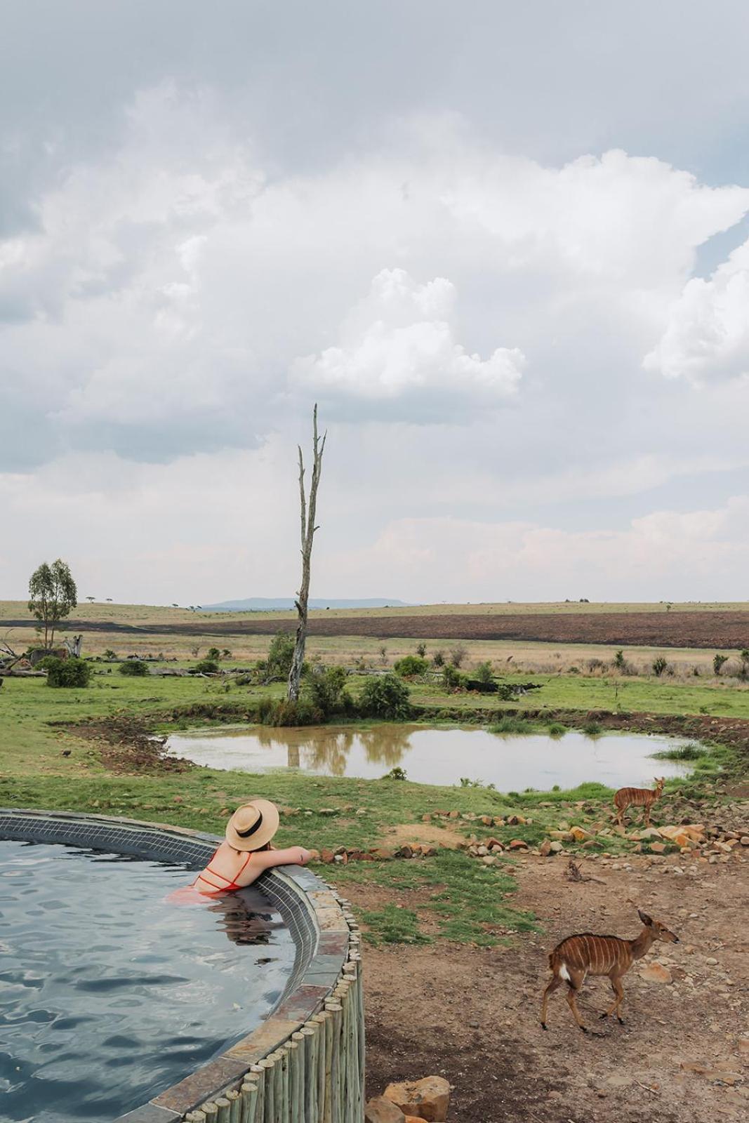 Nambiti Plains Alojamento de Turismo Selvagem *